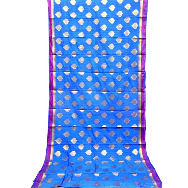 Women's Fashionable Saree