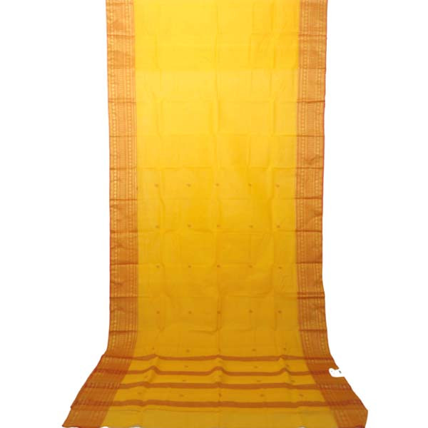 Women's Fashionable Saree