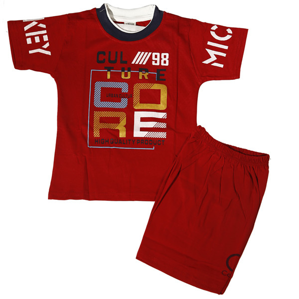 Baby Boy T-Shirt and Pant