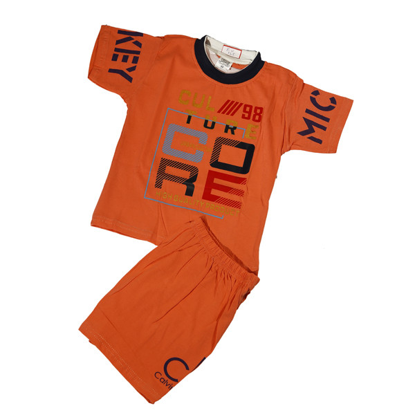 Baby Boy T-Shirt and Pant