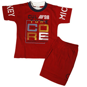 Baby Boy T-Shirt and Pant